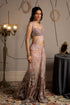 Lumina Saree